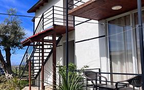 Vila Ari